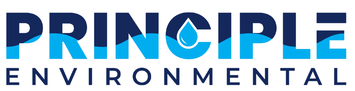 PRINCIPLE ENVI LOGO