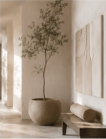 Quiet neutral interior with potted tree and bench
