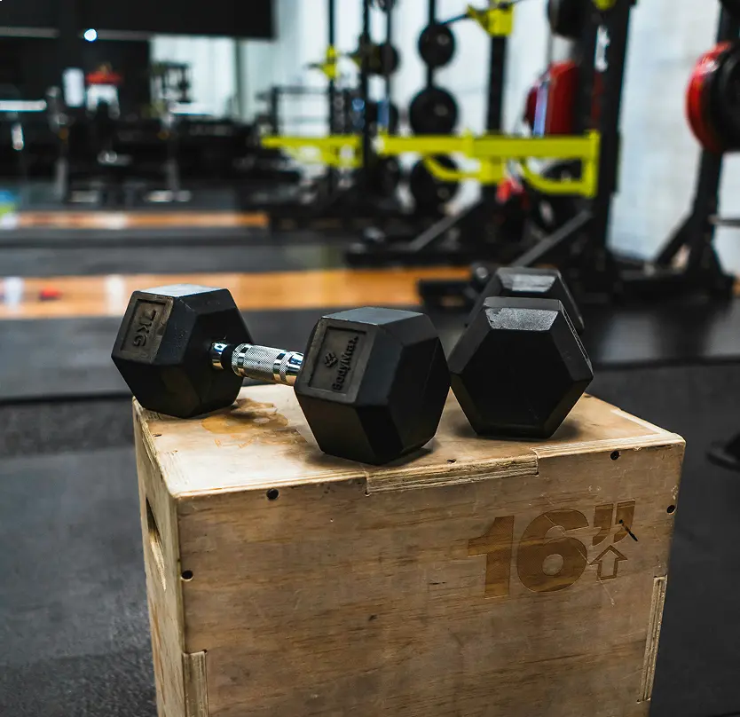 Stay active and healthy with daily exercise routines