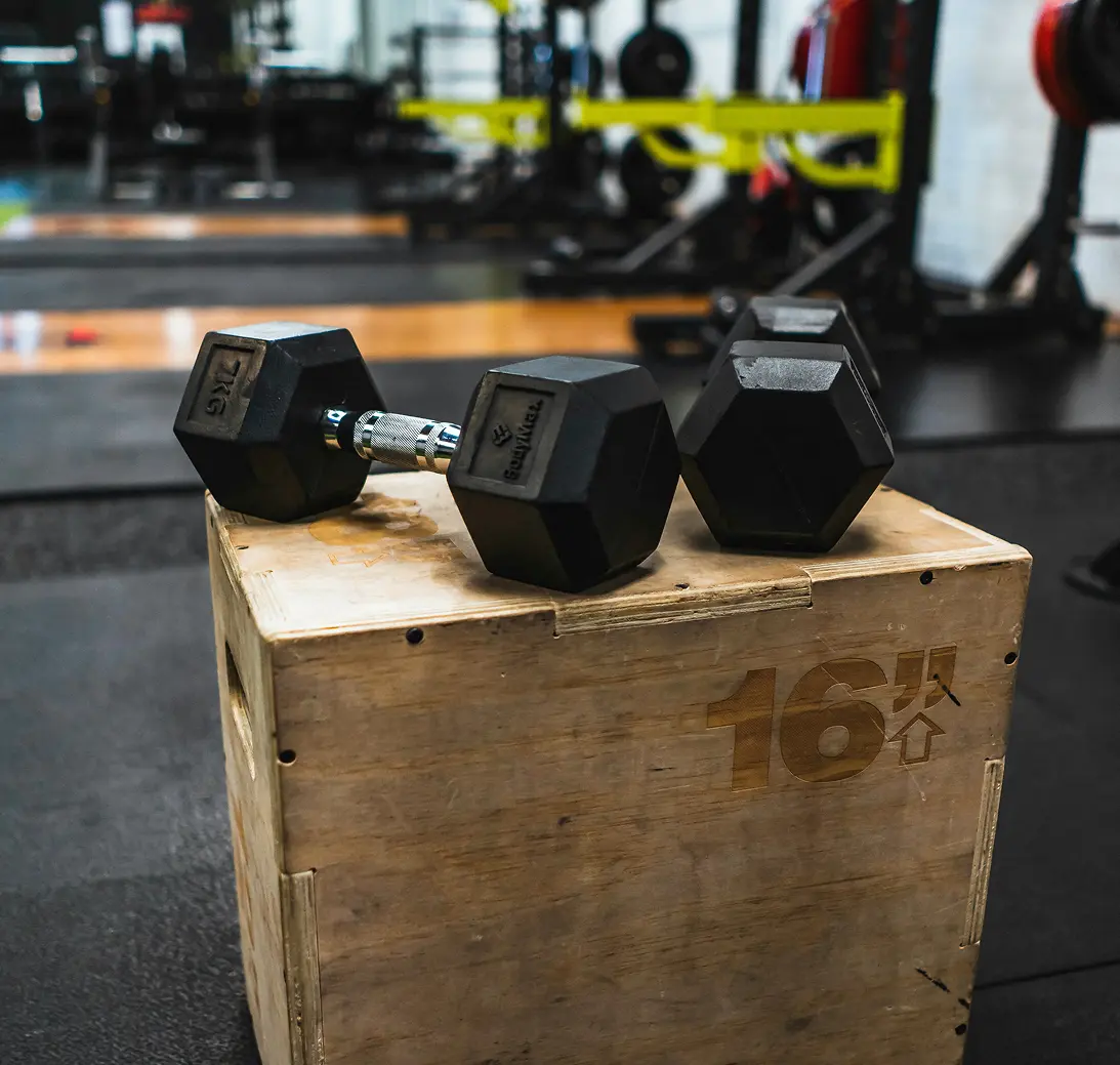 Stay active and healthy with daily exercise routines