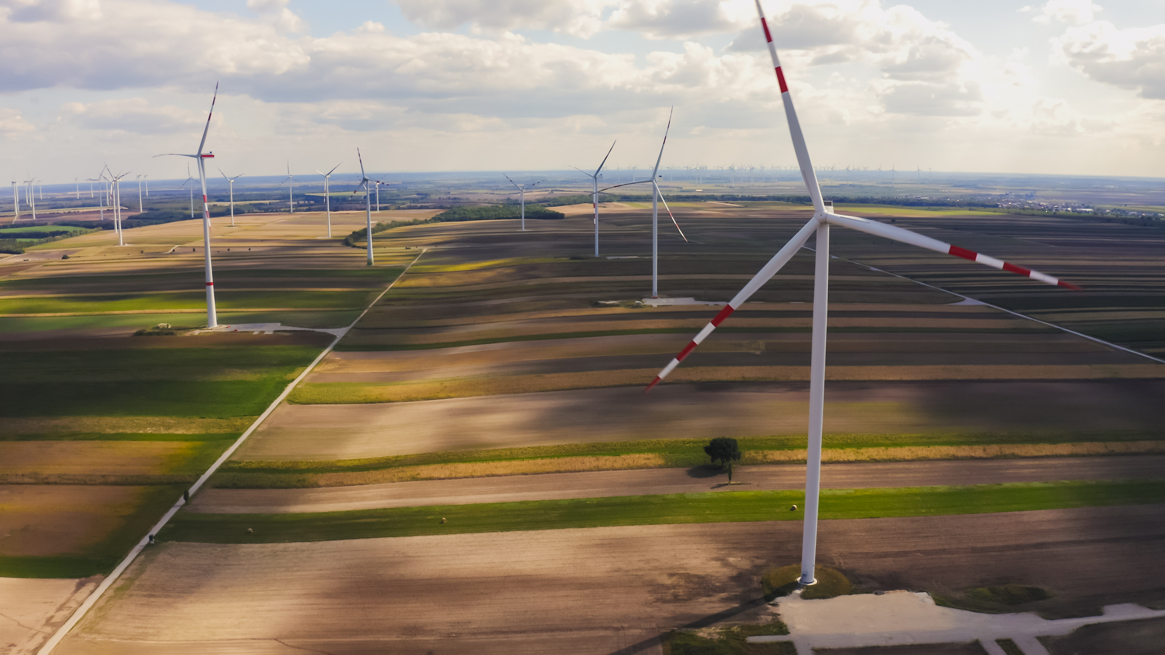 Blick auf Felder mit vielen Windrädern unter bewölktem Himmel in ländlicher Umgebung.
