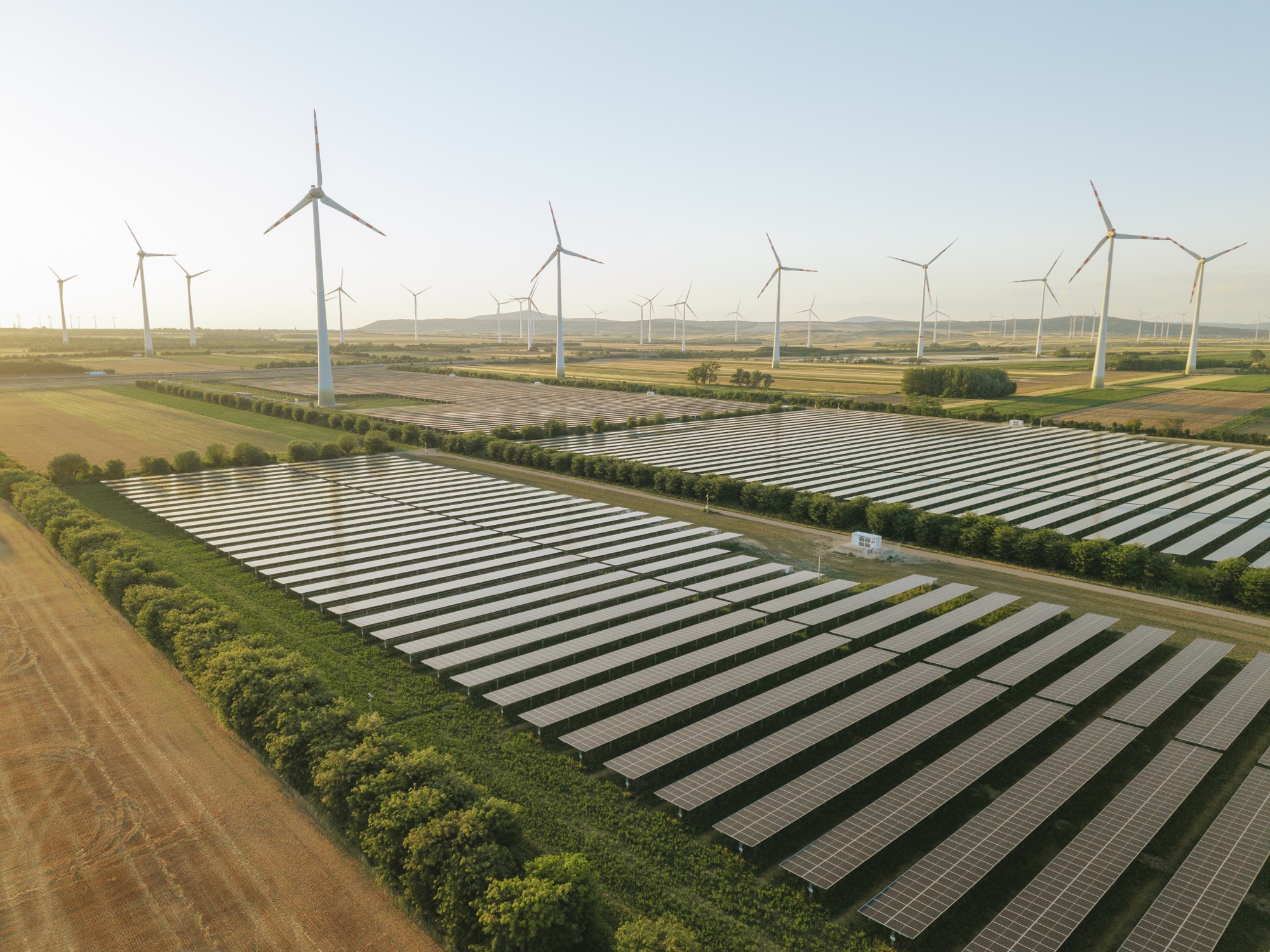 Photovoltaikanlage auf grünen Feldern neben Windkraftanlagen unter klarem Himmel bei Sonnenuntergang.