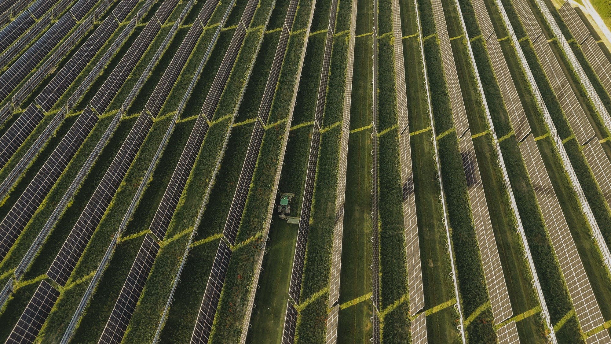 Photovoltaikanlage mit landwirtschaftlicher Nutzung und lange Reihen von Paneelen, wo ein Traktor durchfahrt.