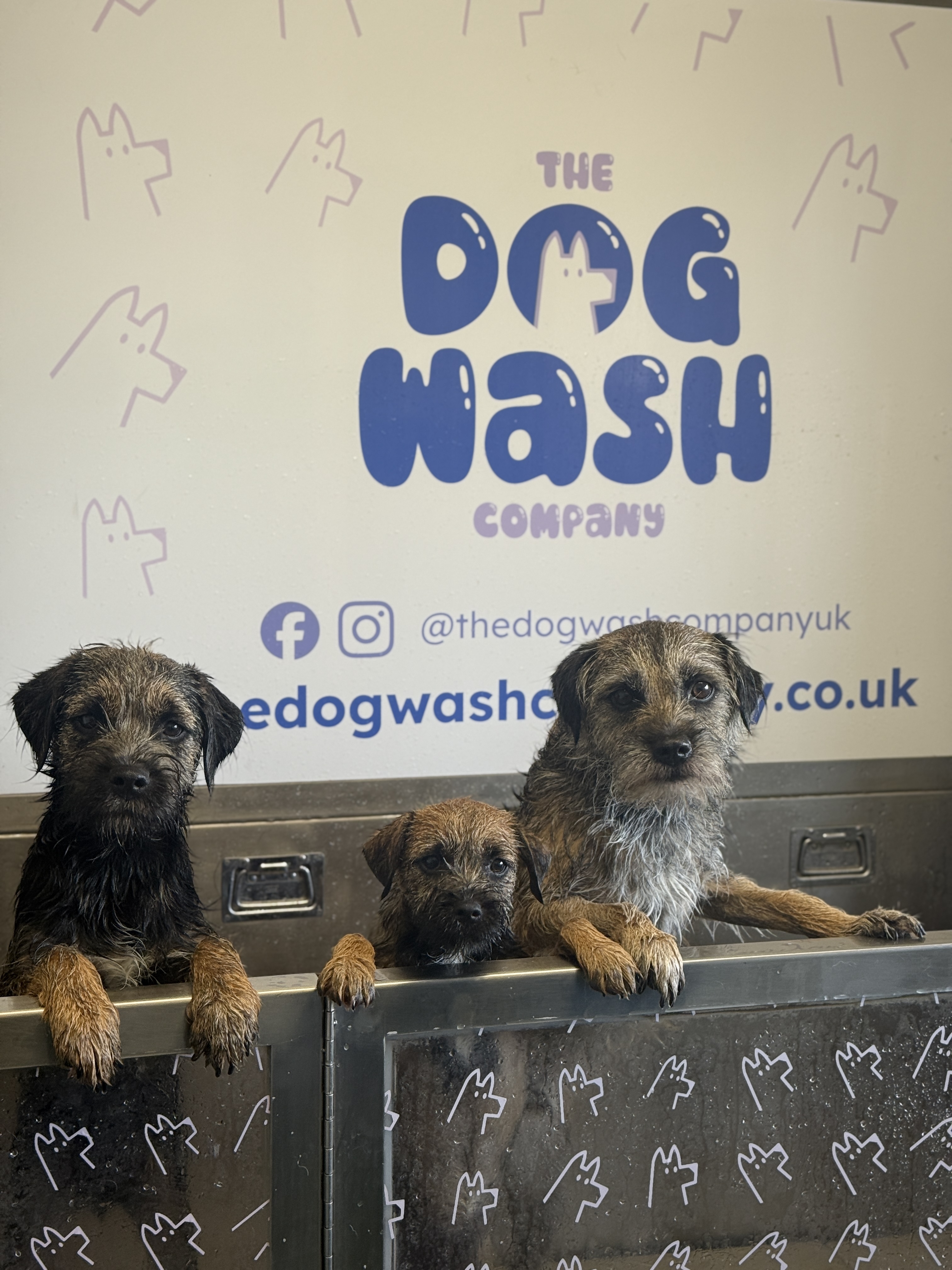 Pooch's Yard Self-Service Dog Wash