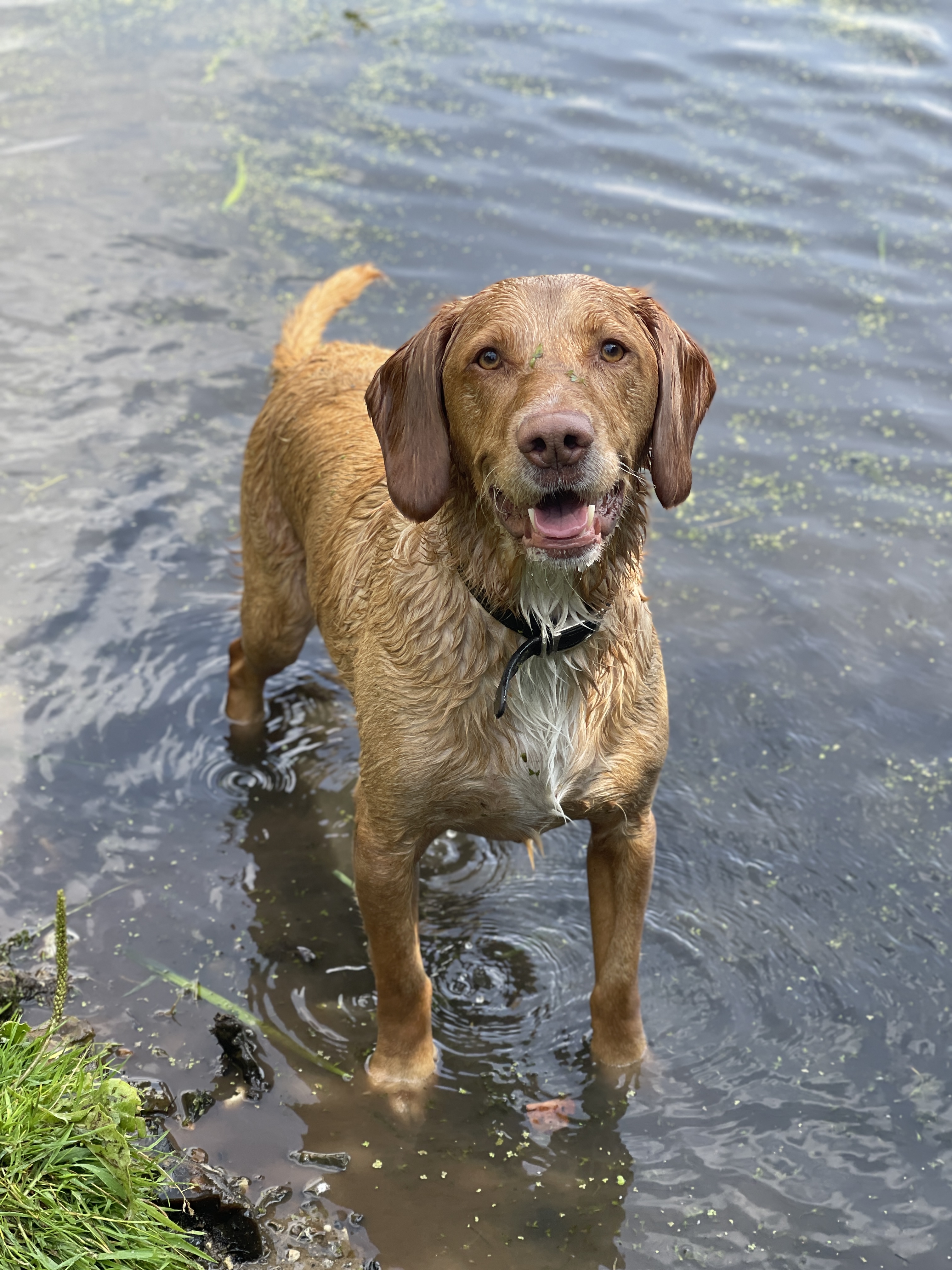 River & Lake Swims