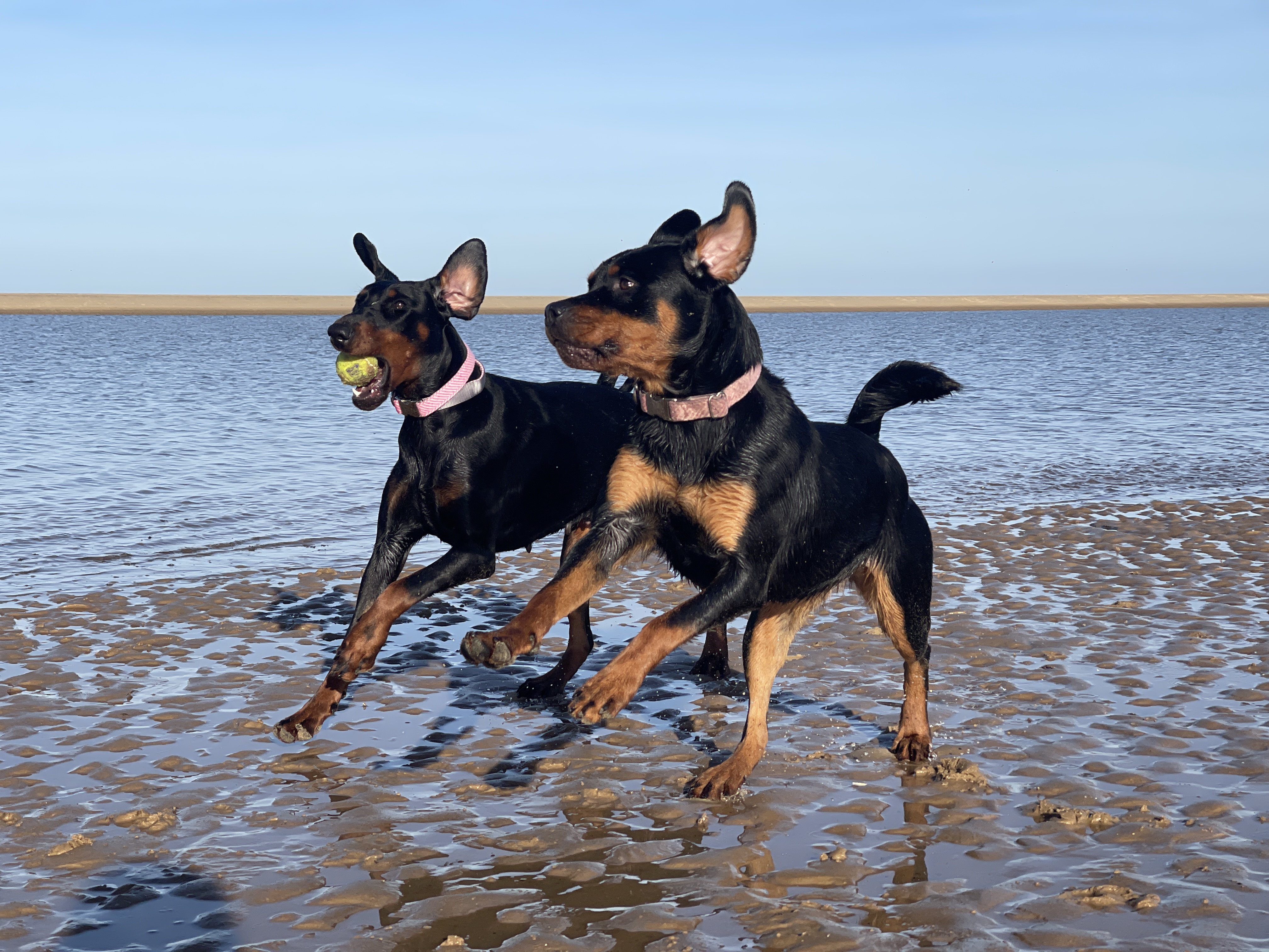 Beach & Sand Trips