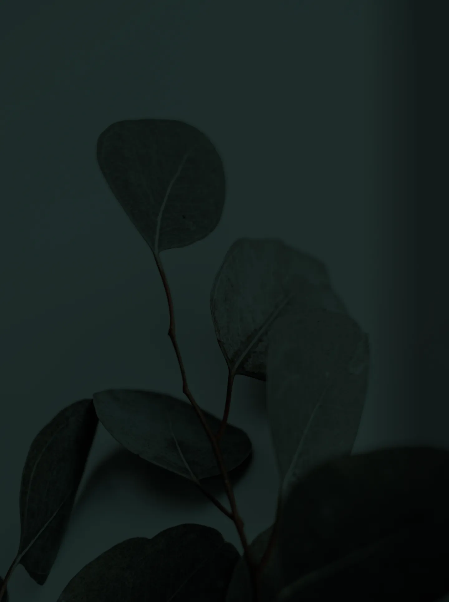 Decorative background.