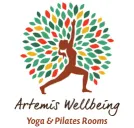 Artemis gym partner logo.