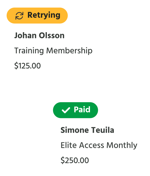 Software details showing payments that are retrying automatically and those that are paid