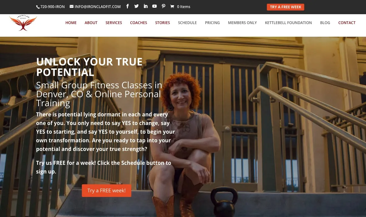 image of ironclad website
