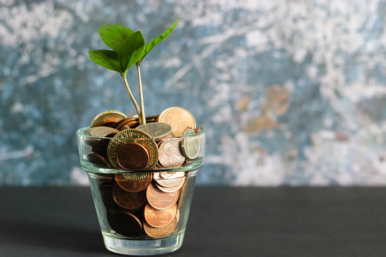 Gym sales forecasting