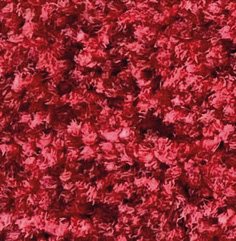 Red Mottled 8107