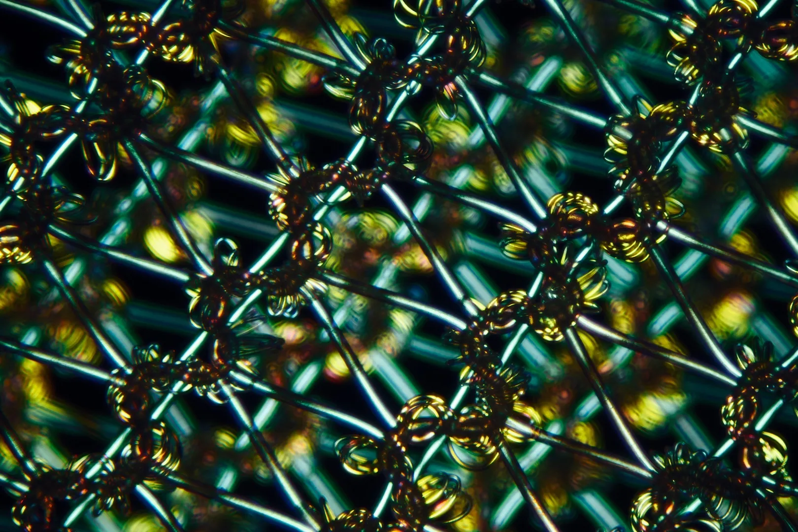 Colorful microscopic view of interconnected, glowing, iridescent structures with loops and rods.