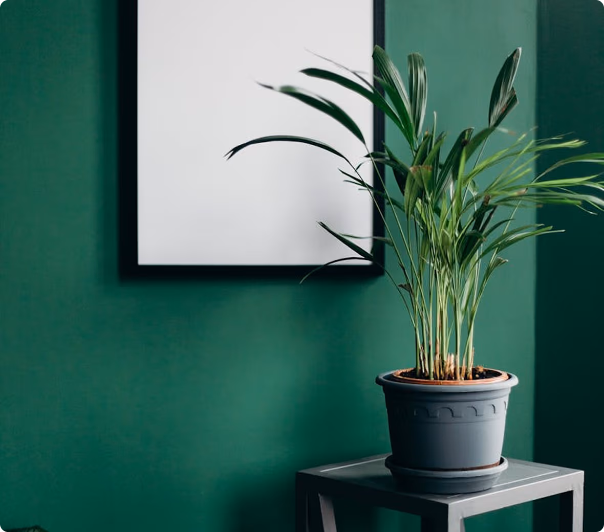 Portfolio  Fitness Image