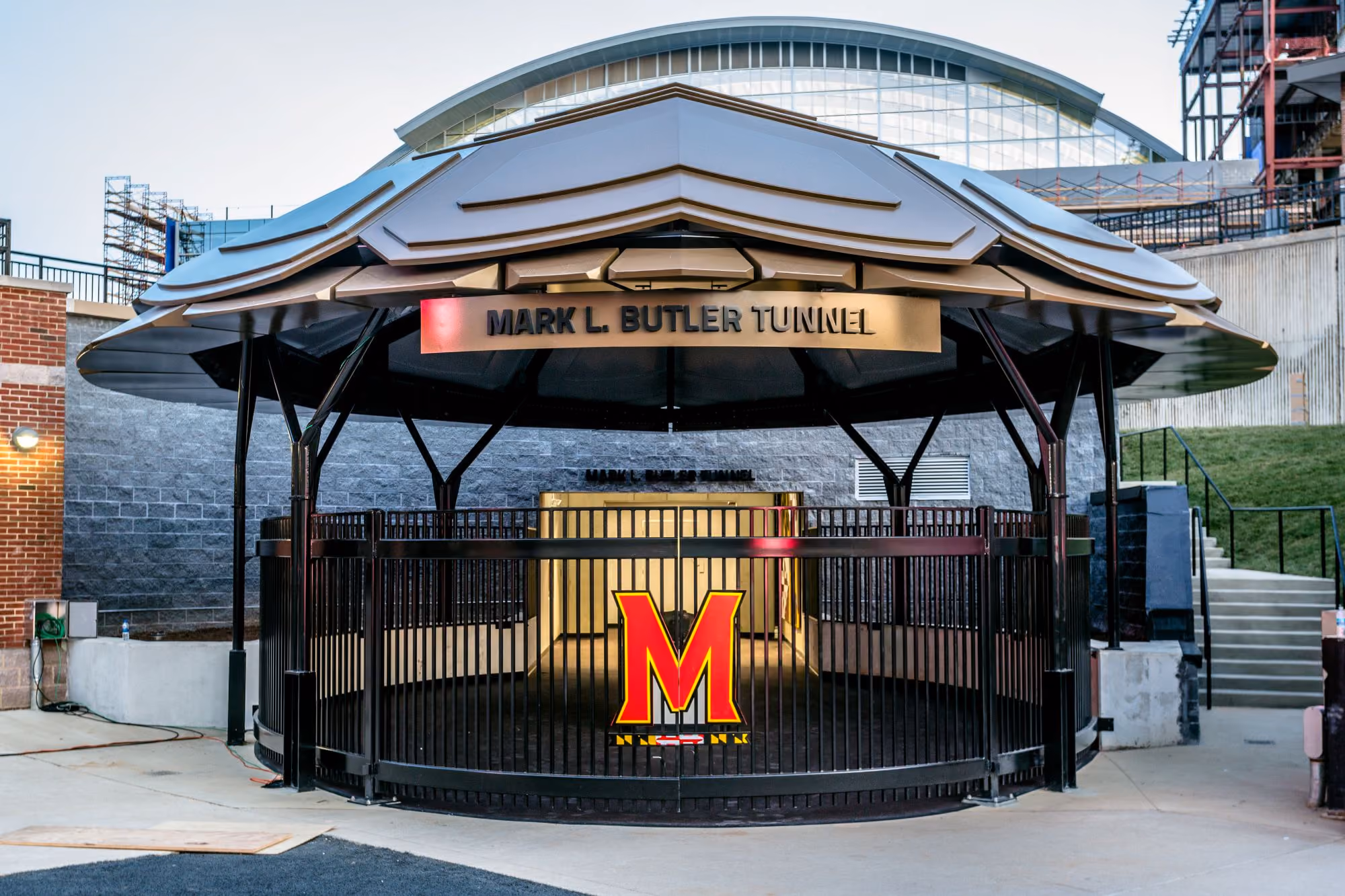 University of Maryland Turtle Shell
