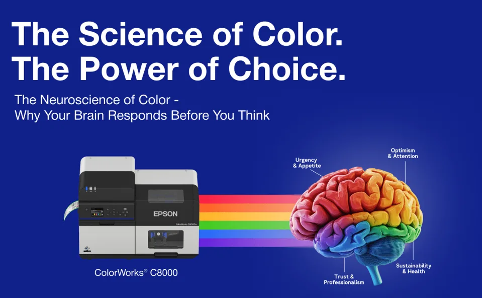 The Science of Color. The Power of Choice. The Neuroscience of Color – Why Your Brain Responds Before You Think