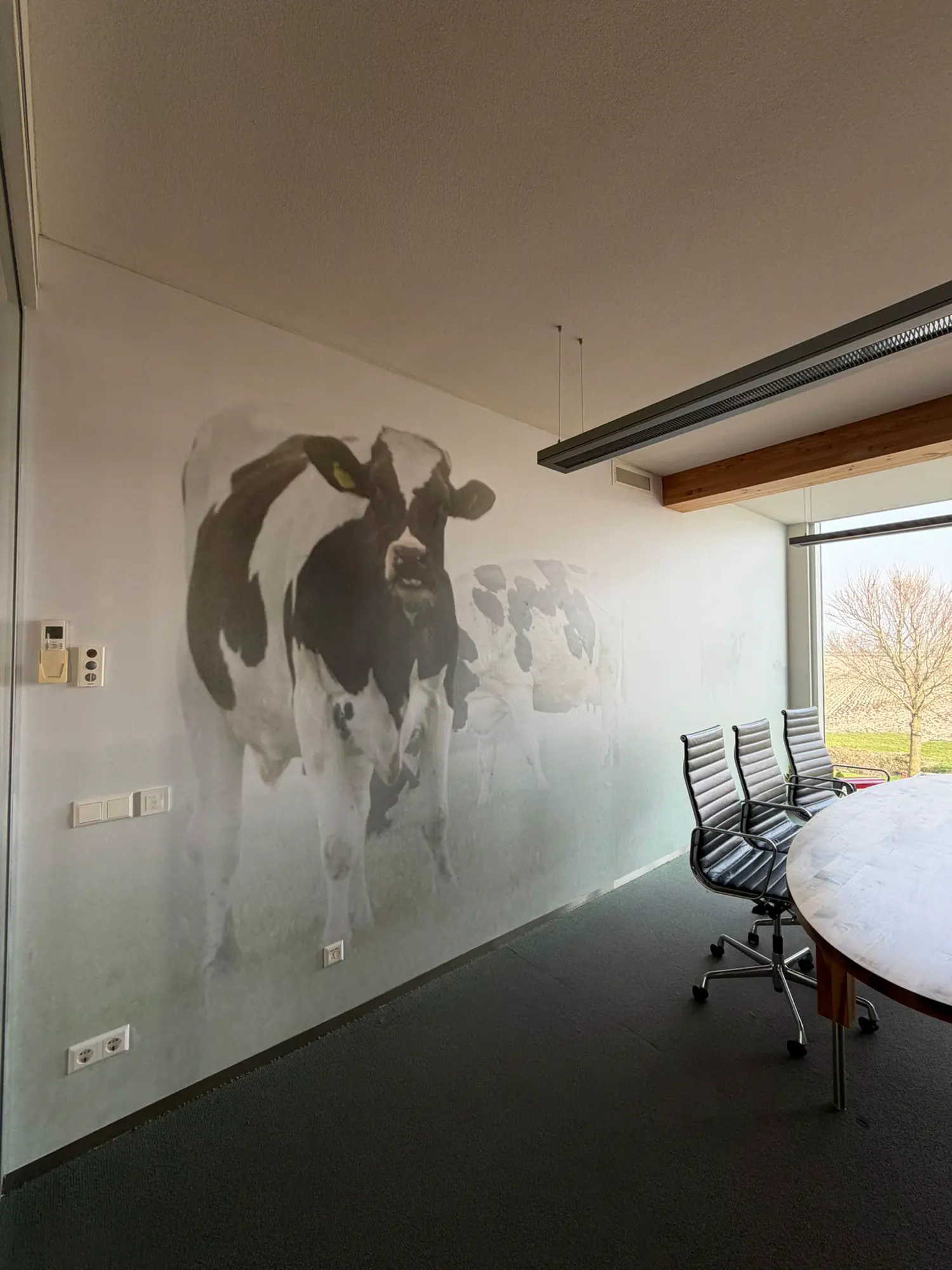 Eindresultaat fotobehang Urus Group Feerwerd door Pieter Plakt