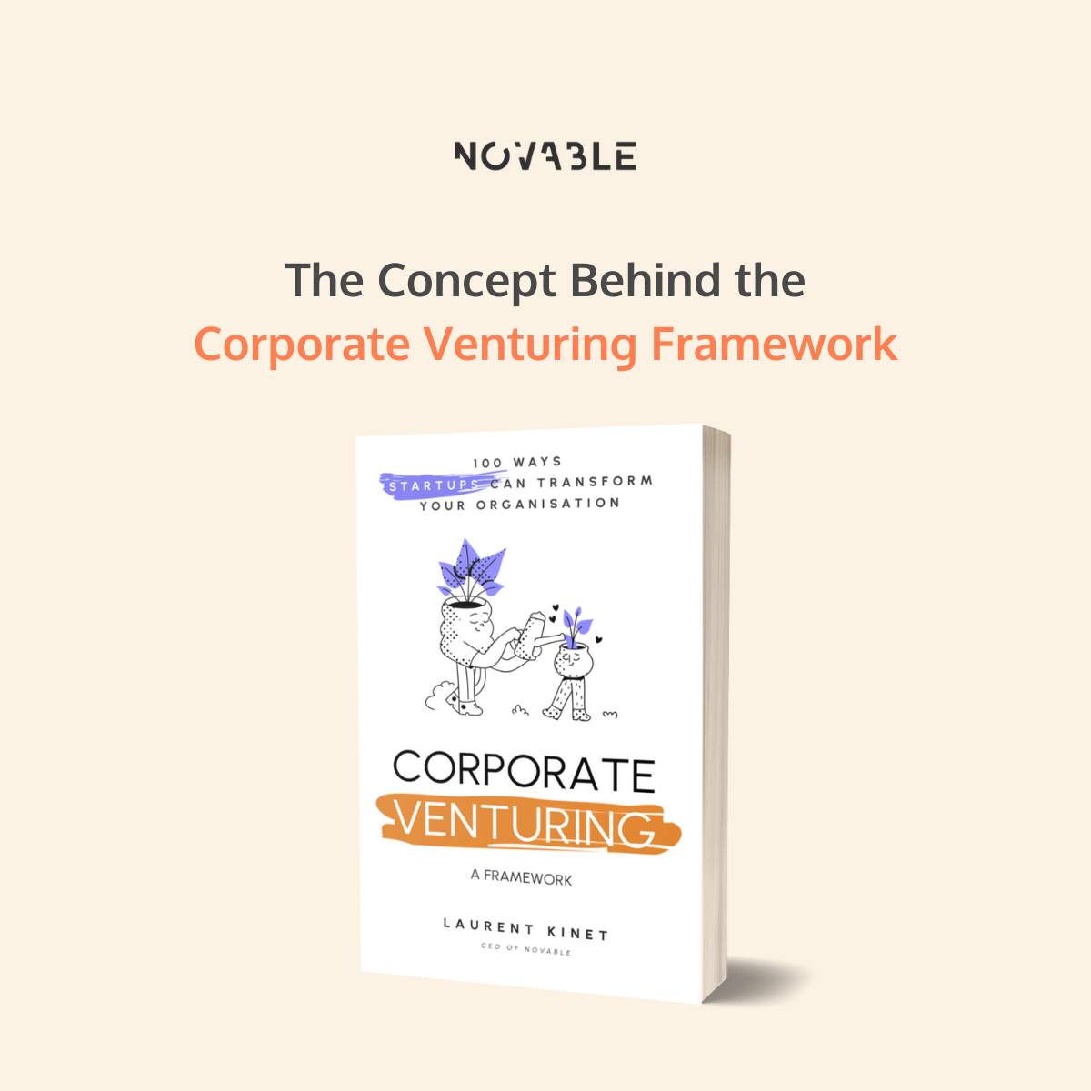 The Concept Behind the Corporate Venturing Framework