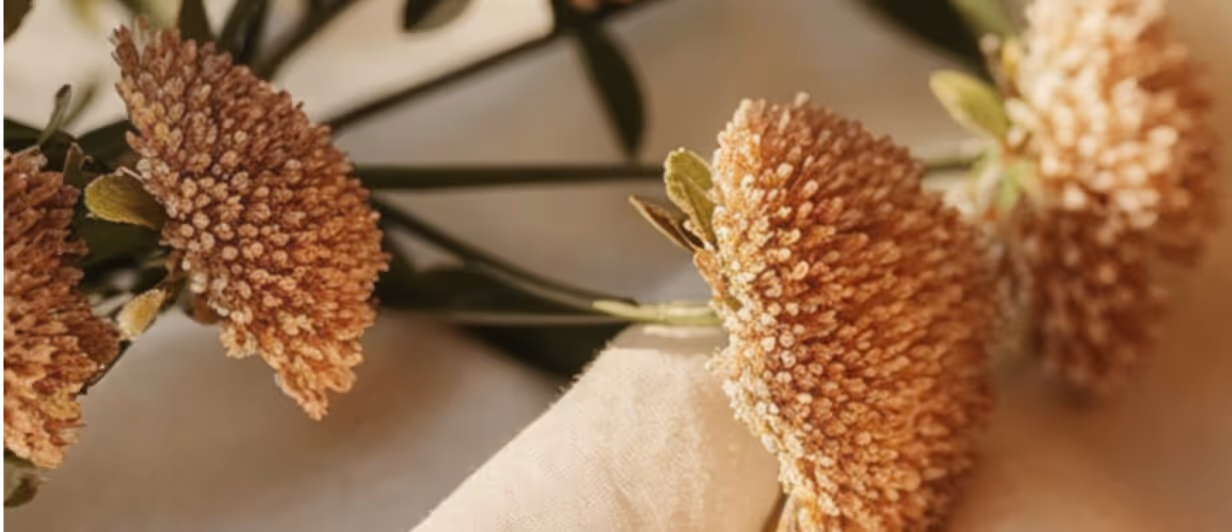 Cruelty Free Vegan Derma Webflow Template ┃ BRIX Templates