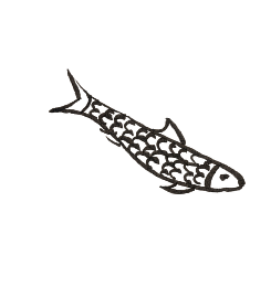 Silhouette of a fish with fish shapes patterns inside.