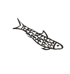Silhouette d'un poisson avec des motifs de formes de poissons à l'intérieur.