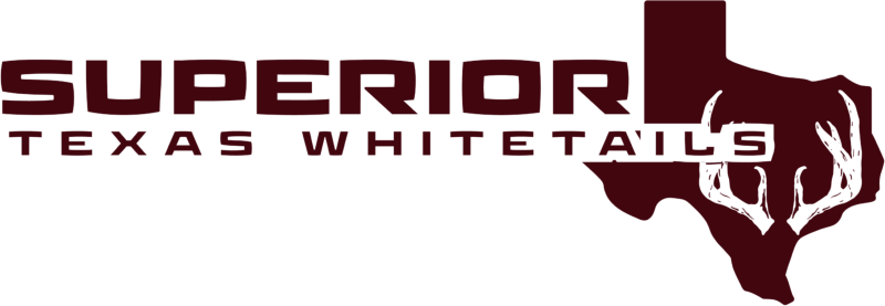 Superior Texas Whitetails