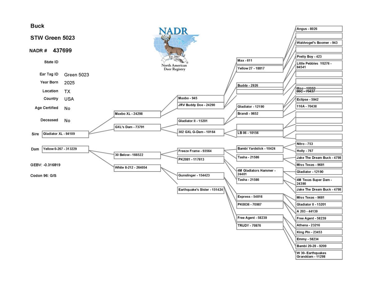 5023 Pedigree