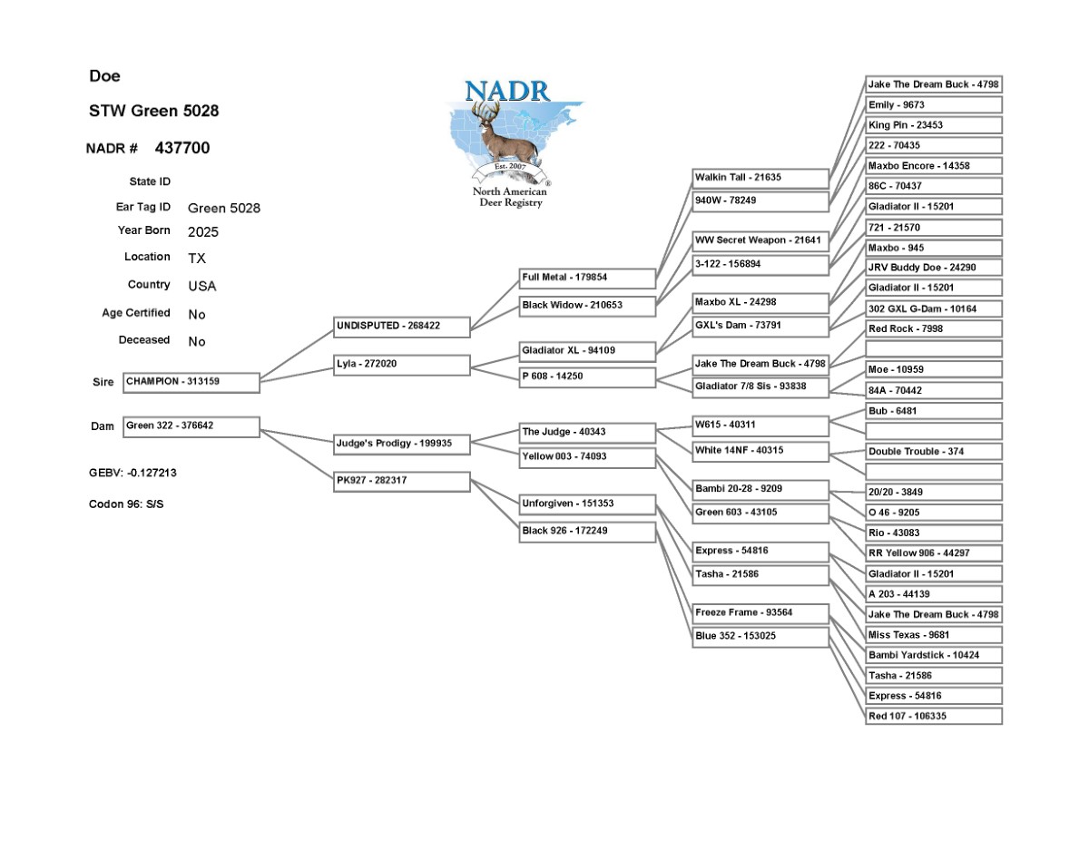 5028 Pedigree