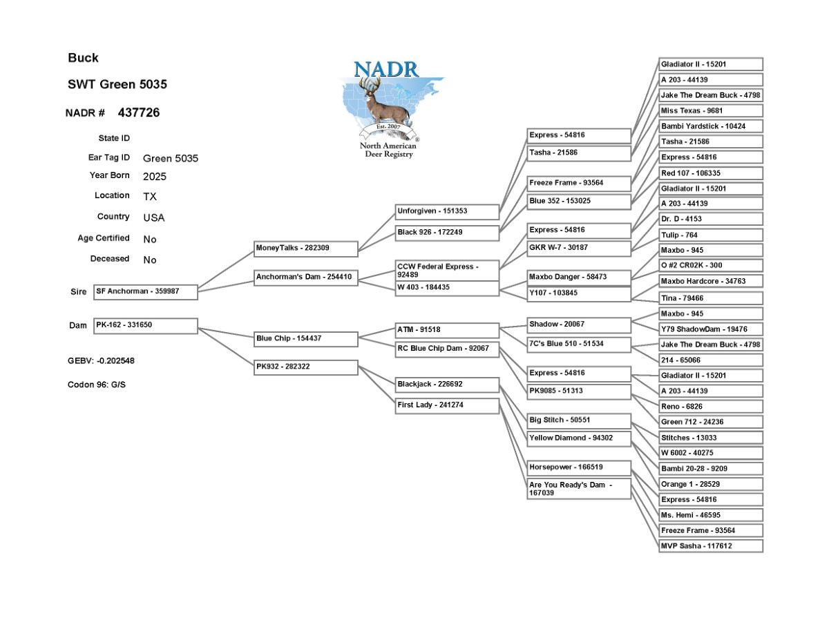 5035 Pedigree