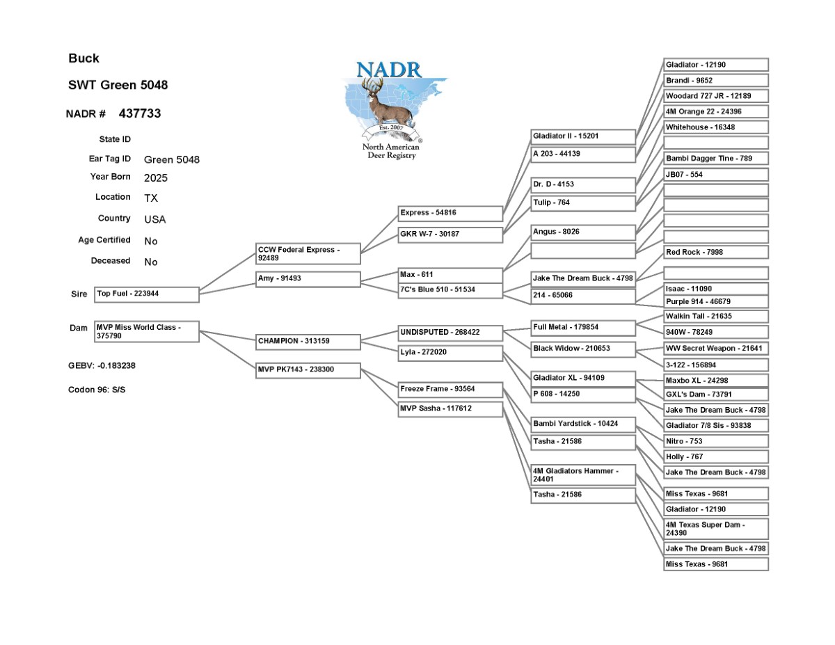 5048 Pedigree