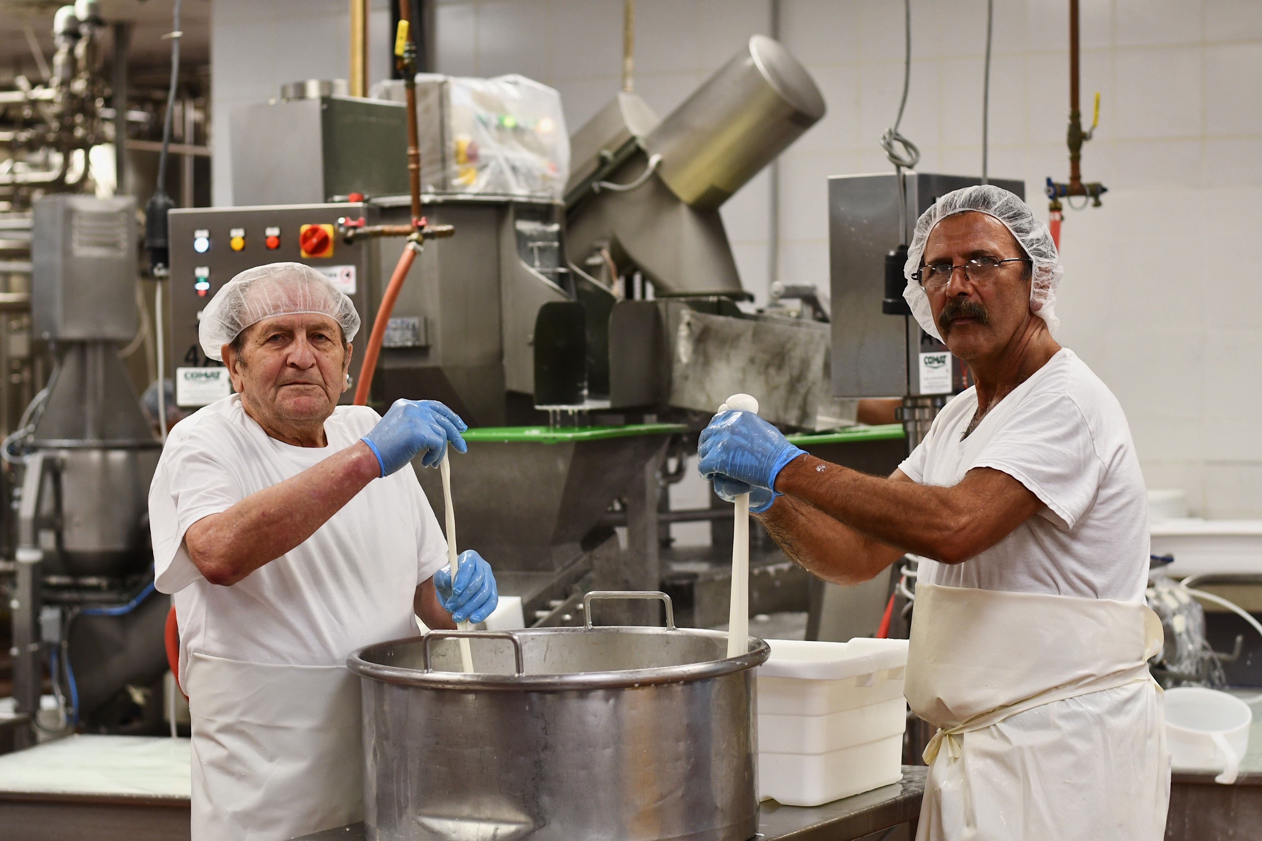 Pasquale & Nicola Liuzzi from Liuzzi Cheese making Fresh Mozzarella at their manufacturing plant in Hamden, Connecticut.