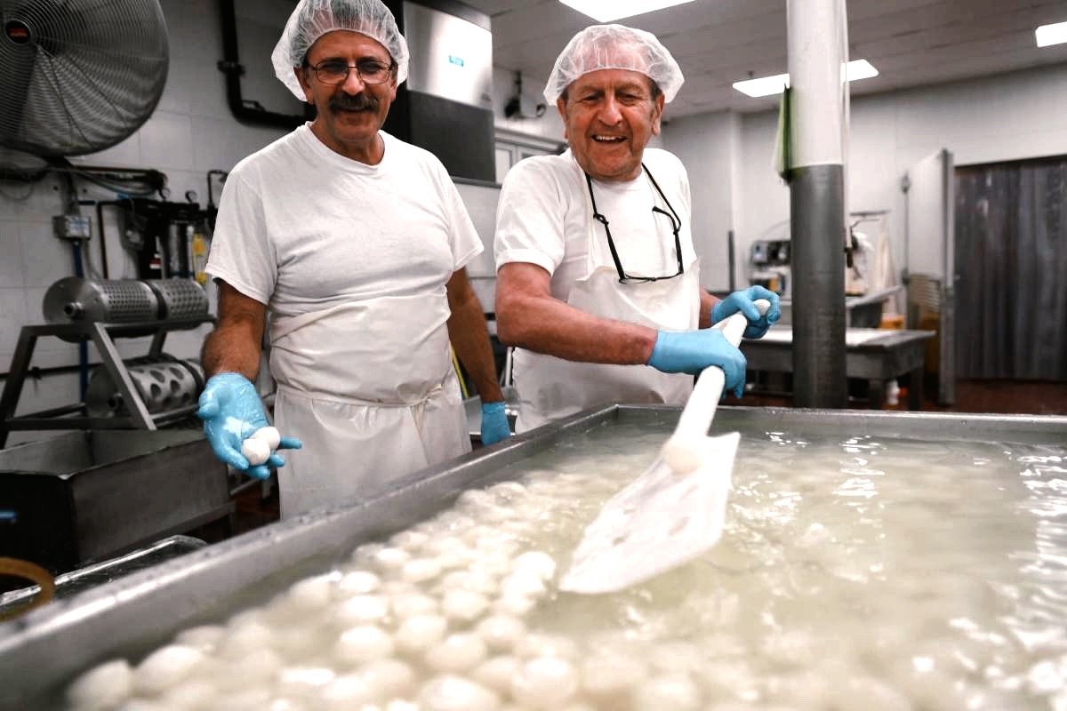 Pasquale & Nicola Liuzzi from Liuzzi Cheese making Fresh Mozzarella at their manufacturing plant in Hamden, Connecticut.
