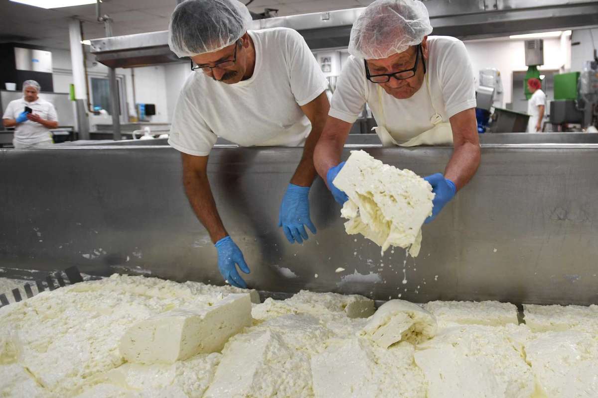 Lino Liuzzi and Nicola Liuzzi mixing curd in the Liuzzi Cheese manufacturing plant.