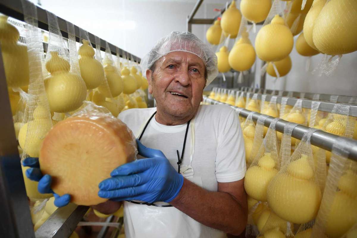 Lino Liuzzi holding an aged piece of cheese in the aging room with scamroza and caciocavallo hanging in the background.