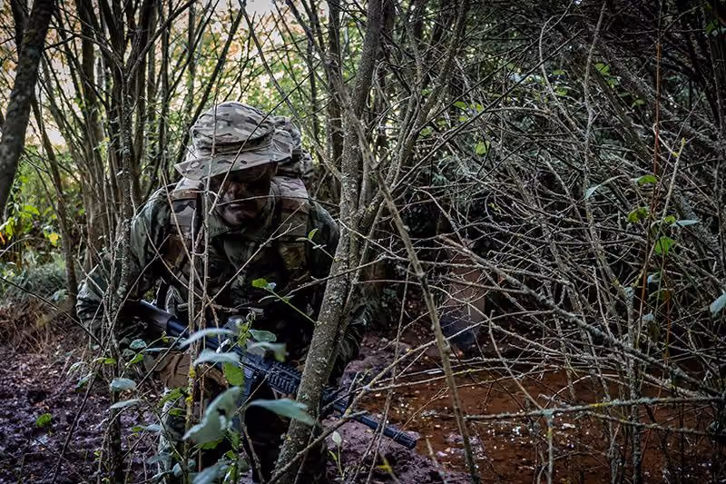 Canopy Navigation Consultant 