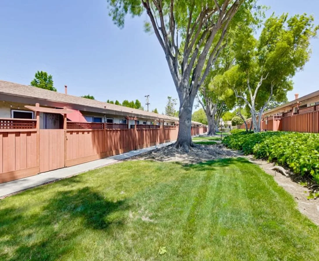 Apartments and grass