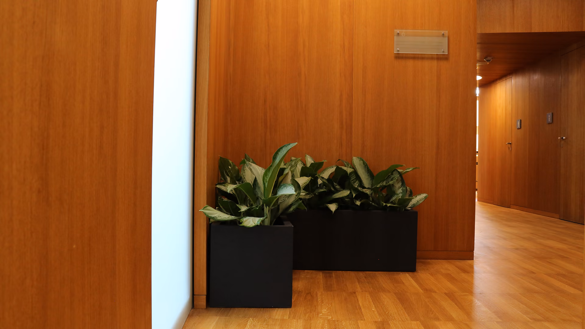 Moderner, holzvertäfelter Flur mit schwarzen Pflanzgefäßen voller üppiger Grünpflanzen, warmer Beleuchtung und polierten Böden, die eine ruhige, elegante Atmosphäre schaffen.