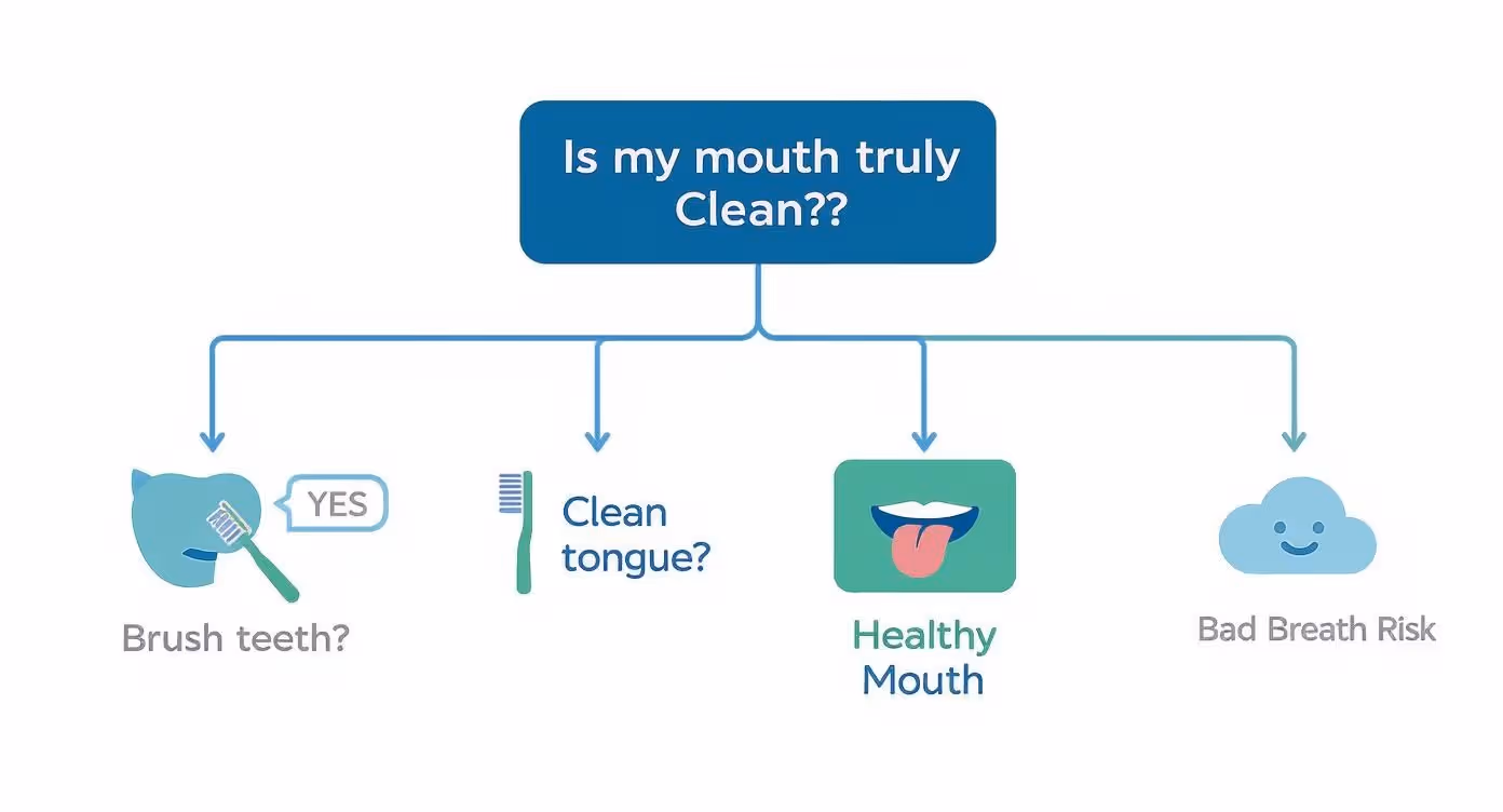Infographic about how to clean tongue properly