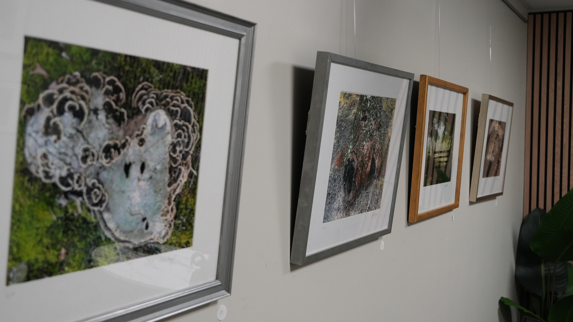 Framed artwork hangs on the walls of the MVTV Artist Space