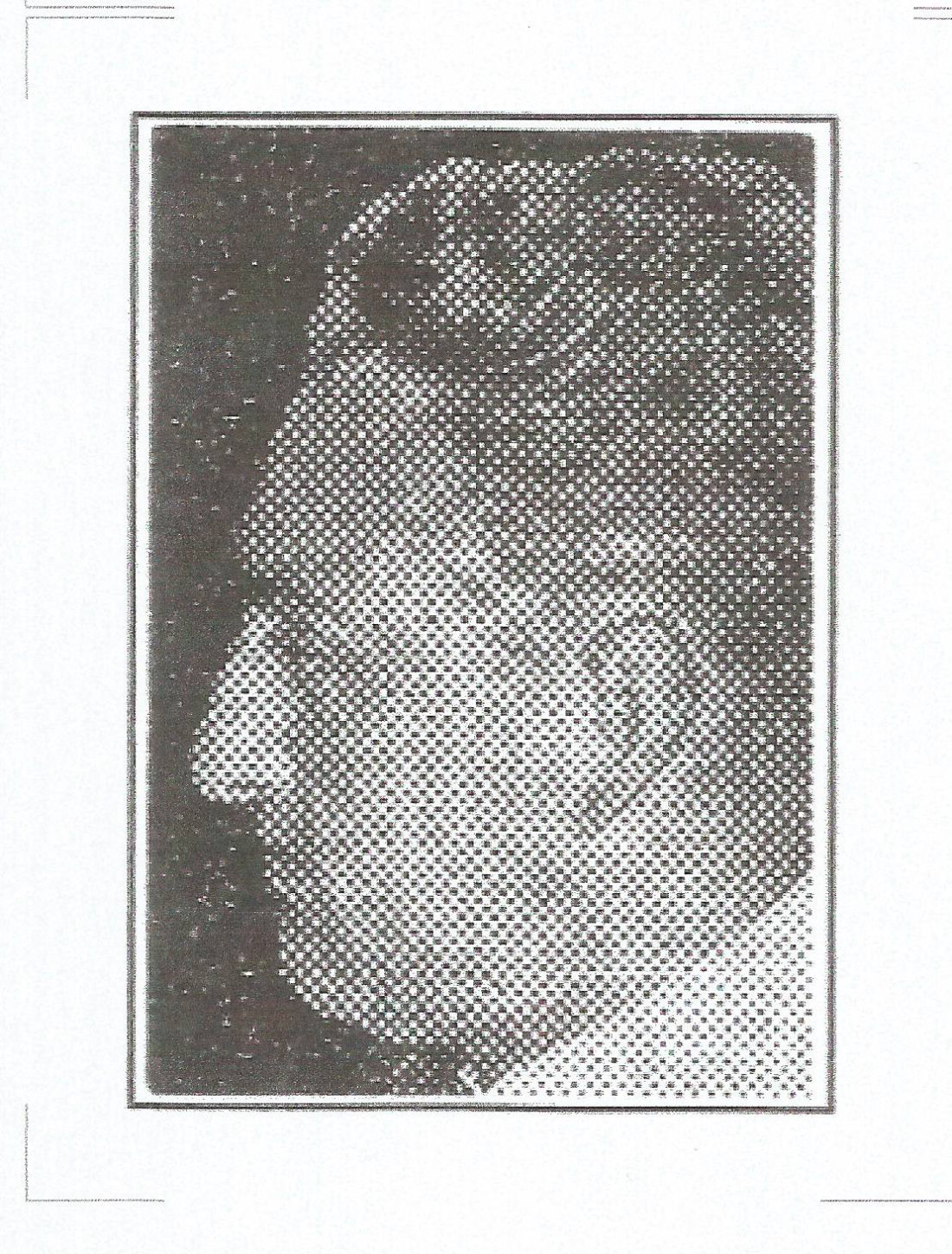 Balzarini