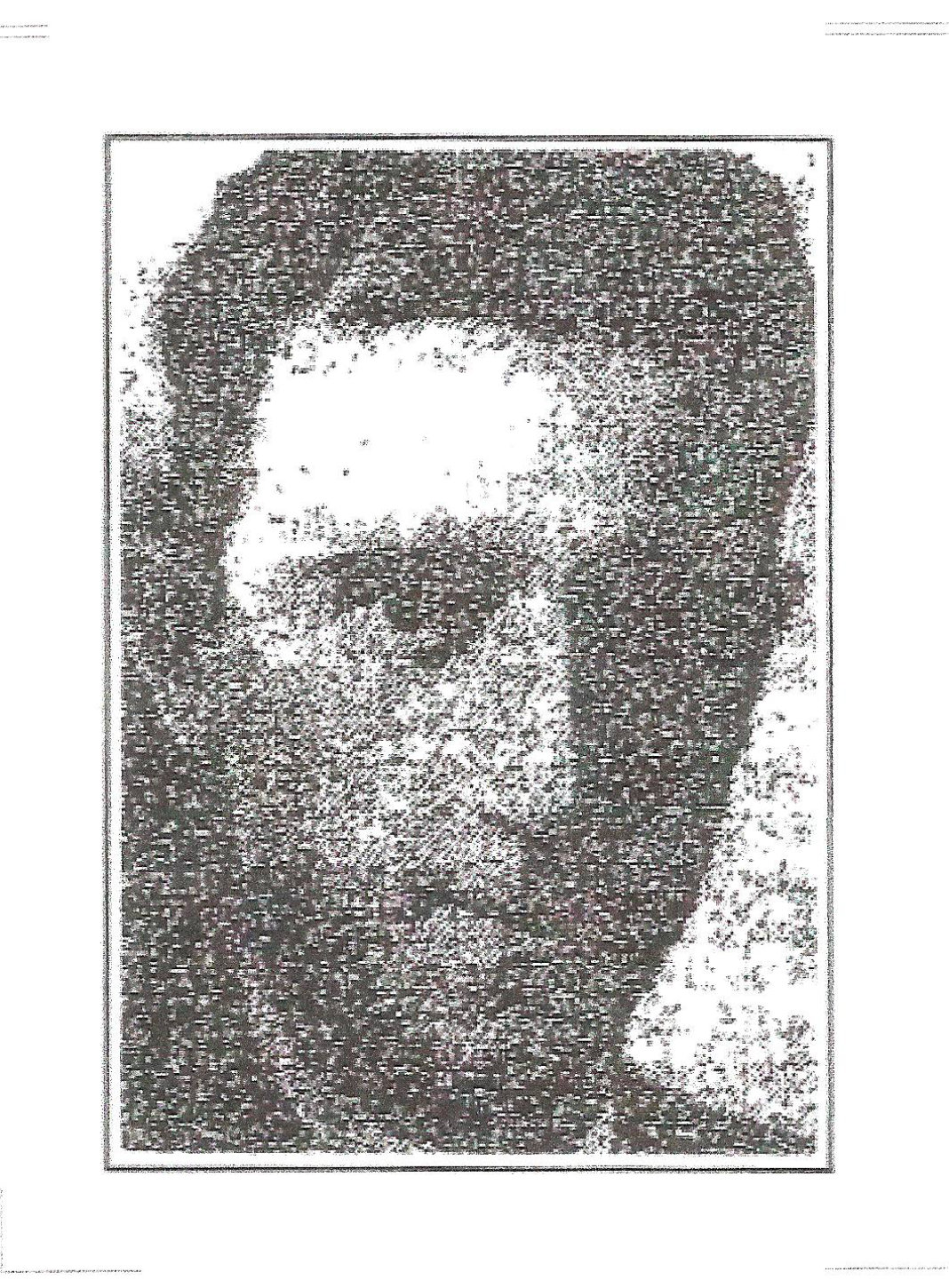 Gatturna
