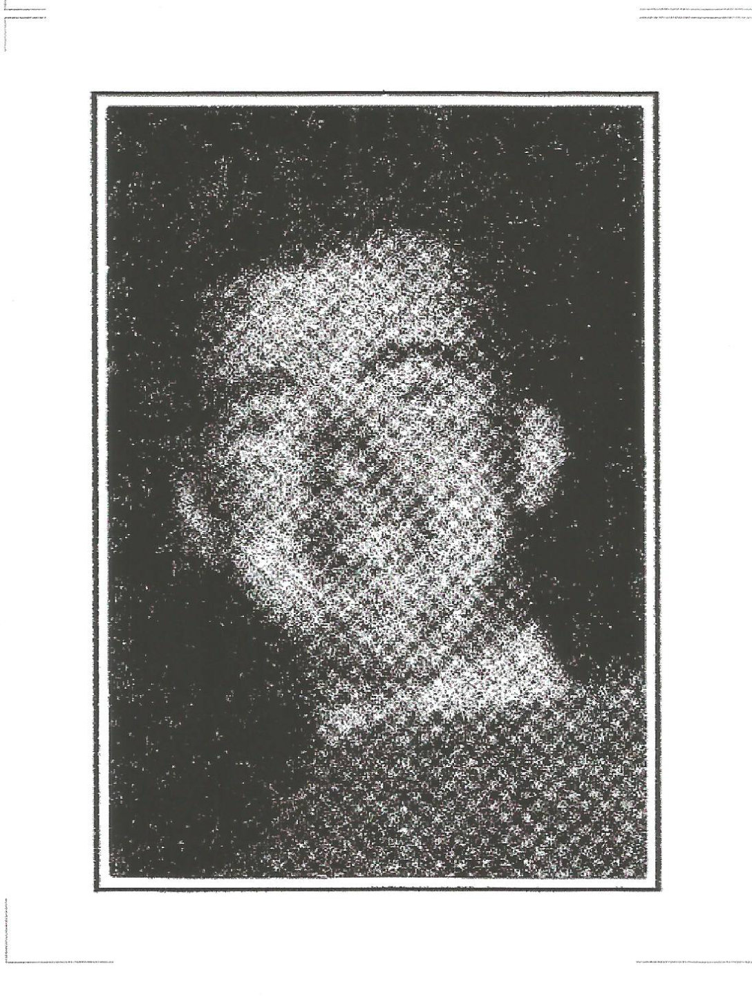 Stapleton, Jr.