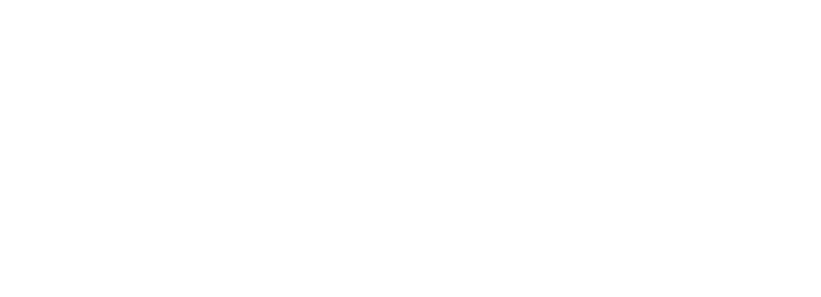 FTAPI Logo