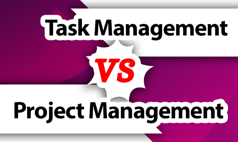 Task Management vs Project Management [3 Main Differences]