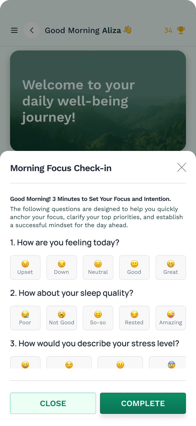 Mindsherpa Morning Focus Check-in mobile app screen