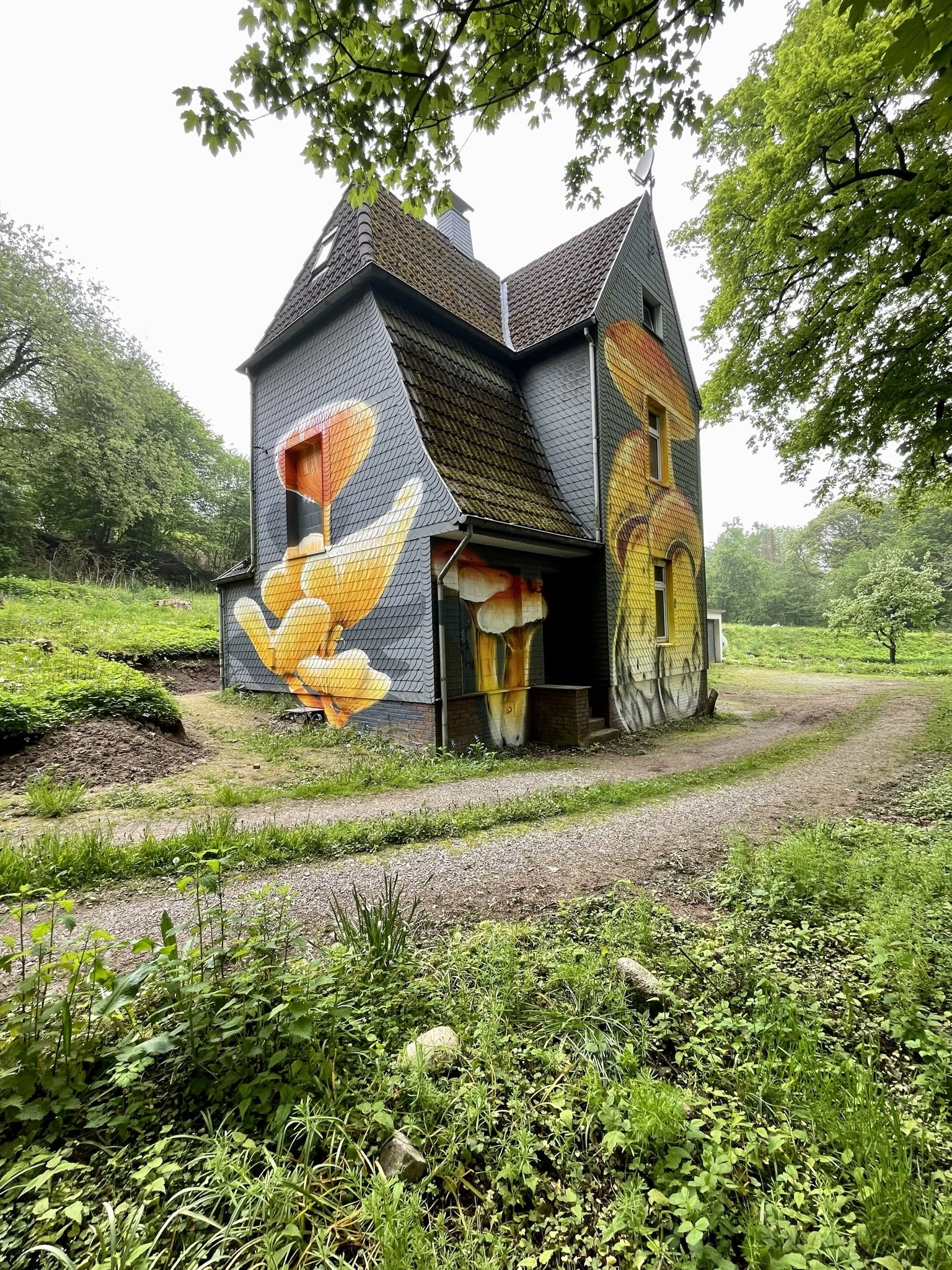 Mushroom House — Königshöhe in summer landscape, Wuppertal