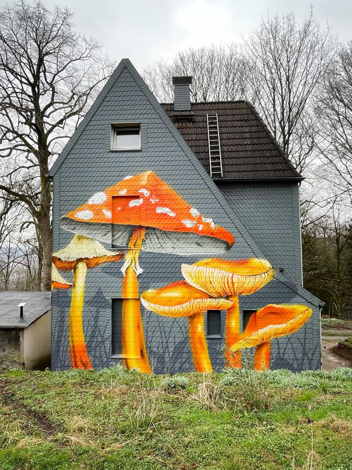 Fly agaric mushroom mural on slate façade, Mushroom House Königshöhe