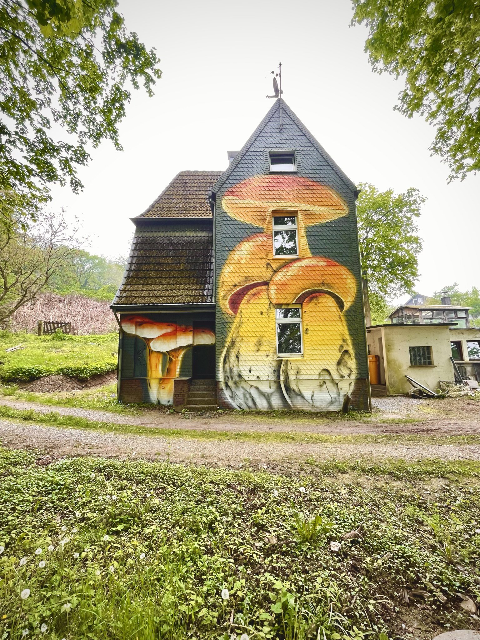 Mushroom murals on multiple façades of Mushroom House Königshöhe
