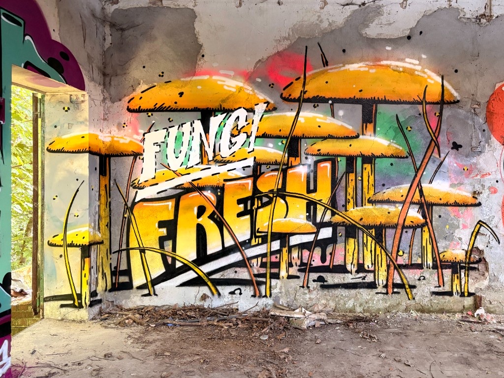 Large wall intervention with FUNGI FRESH lettering and yellow-orange fruiting body forms in an abandoned interior