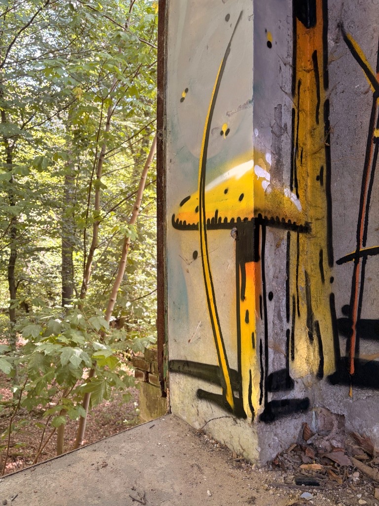 Small fruiting body intervention on a concrete corner opening onto forest